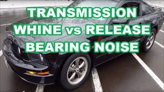 MUSTANG Transmission BEARING WHINE NOISE 5spd NOISY TRANS VS THROW OUT BEARING [upl. by Ahkeber]