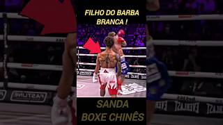 O melhor do boxe boxe sanda boxechines [upl. by Johnston124]