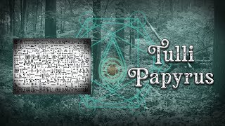 Tulli Papyrus  History [upl. by Ferdinand]