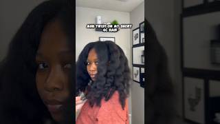 Mini Twist on 4c Natural Hair naturalhair hair natural 4chair twist twist minitwists shorts [upl. by Gabbi42]