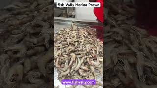 Fush Vally Premium Horina Prawn prawn horina sunadarbansFish shorts [upl. by Leuams]