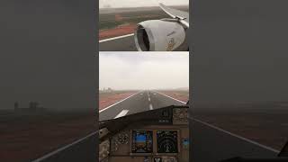 Low Visibility landing at Accra  DGAA  Emirates  PMDG 777300ER  MSFS 2020 [upl. by Mchale]