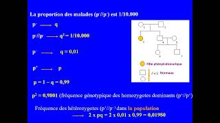Exercice de génétique humaine et des populations Hérédité autosomique récessive Bacconcours [upl. by Collie]