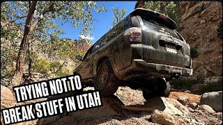 Toquerville Falls  Rattlesnake Gulch 5th Gen 4Runner amp a Ford Bronco [upl. by Julienne140]