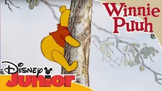 Kleine Abenteuer mit Winnie Puuh  Auf den Honigbaum hinauf  Disney Junior [upl. by Aran859]