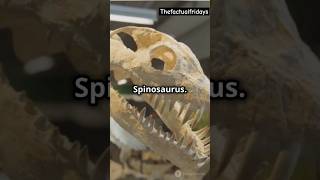 The 6 largest Dinosaurs ever lived dinosaur jurrasicworld shorts [upl. by Emlin]