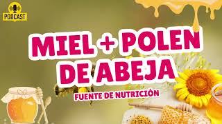 Miel y Polen  Productos Naturales de las Abejas [upl. by Forsyth]