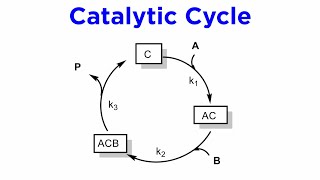 Principles of Homogeneous Catalysis [upl. by Lazaruk]