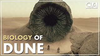 The Biology of Dune  Speculative Biology [upl. by Hras]