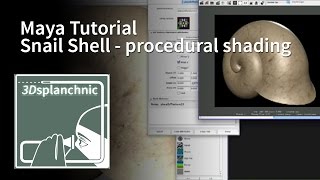 snail shell shading [upl. by Somar]