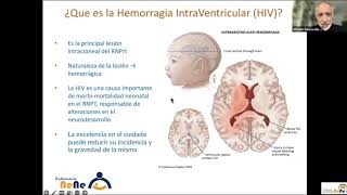 CUIDADOS DEL RECIEN NACIDO EXTREMADAMENTE PREMATURO EN LAS PRIMERAS 72 HS DE VIDA [upl. by Norrab]