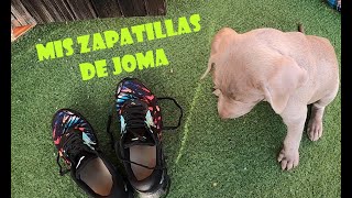 Las Zapatillas Joma que uso Asfalto y Trail [upl. by Akenahs]