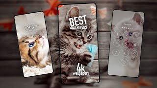 Wallpapers with cats [upl. by Myrtice]