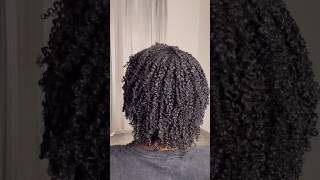 Defining curls on 4C natural hair [upl. by Ayifas323]