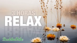 Tranquilidade Espiritual 🌟 Música para Cura dos Chakras  3 Horas Vibrações Positivas [upl. by Graeme]