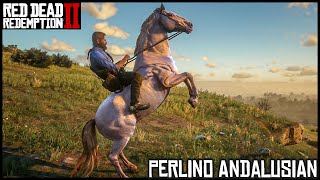 The Perlino Andalusian  Red Dead Redemption 2 Story Mode [upl. by Airtina]