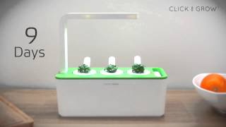 Click amp Grow Smart Herb Garden Timelapse [upl. by Neenahs753]