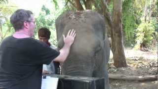 Piano for Elephants in Thailand video diary [upl. by Dido]