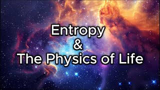 Entropy and The Physics of Life [upl. by Albertina]