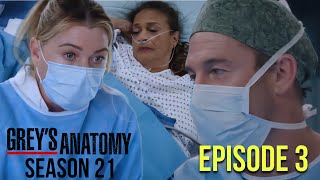 Grey’s Anatomy Season 21 Episode 3  What to Expect [upl. by Adnirod849]