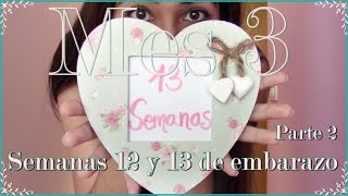 Mes 3 💕 EMBARAZO💕 Semanas 12 y 13 Segunda parte Ecografía de las 12 semanas y mucho más [upl. by Venable50]