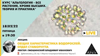 Лекция Владимира Гмошинского quotОбщая характеристика водорослей Отдел Cyanophytaquot курса quotАльгологияquot [upl. by Adnaugal380]