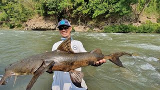 Bagarius Yarrelli Goonch Giant Devil Catfish Fishing Adventure Thailand 2020 BKKGUY [upl. by Koziel574]