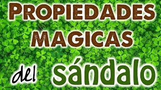 PROPIEDADES MÁGICAS del SÁNDALO 🌱✨ RECETAS EFECTIVAS para LIMPIAR PROTEGER y DESBLOQUEAR 💥✨ [upl. by Olympe216]