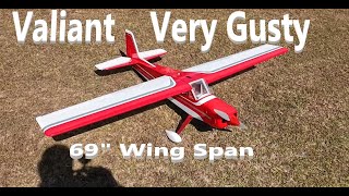 Valiant 69 Inch Very Windy No Gyro Fun In The Sun Eastgate Park Dothan AL [upl. by Ursa569]