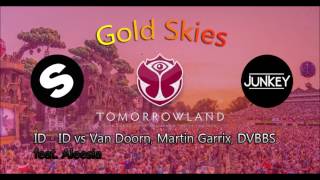 Van Doorn Martin Garrix DVBBS feat Aleesia Tomorrowland remix  Gold Skies [upl. by Ennaej]