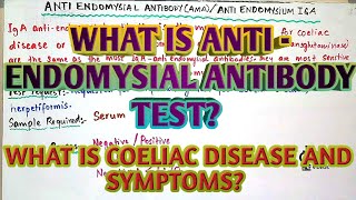 What is antiendomysial antibody testWhat is coeliac diseaseEasy explanationIn Hind amp Urdu [upl. by Ojadnama613]