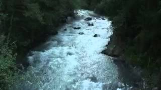 Waterfall Sleep Sounds 8 hours Recorded at Mt Rainier National Park [upl. by Onailerua]