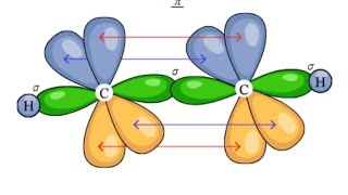 hybridization class 11th chemistry [upl. by Volney]