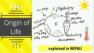 Biochemical origin of life NEB Biology 11 Part 1 Oparin and Haldanes theory [upl. by Amikahs]