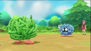 Derrotando al Maestro TANGELA  Pokémon Lets Go [upl. by Helbonnas]