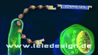 ZIZ 049 Plasmid Vektor  SD PAL  ZIZ 049 plasmid vector  SD PAL [upl. by Warfourd]