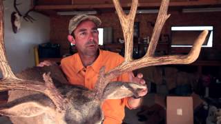 How to Field Judge Mule Deer [upl. by Aeneus]