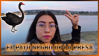 La leyenda del Pato negro de la presa de COYOTEPEC 🎃💀 [upl. by Cinderella]