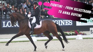 Fiontini From Andreas Helgstrand To Anna Buffini  Grand Prix Dressage Horse On The Move [upl. by Oicanata]