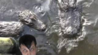 Crocodile Attacks Man in Costa Rica [upl. by Kcirdec]