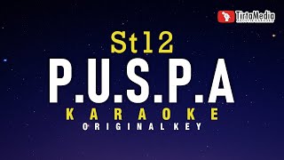 PUSPA  ST12 Karaoke [upl. by Noonan]