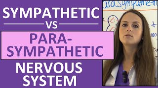 Sympathetic and Parasympathetic Nervous System Autonomic Anatomy Pharmacology Nursing [upl. by Barlow]