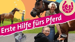 Erste Hilfe bei Pferden Lia bekommt Tipps von der Tierärztin  Mein Pferdesommer  SWR Plus [upl. by Neukam796]