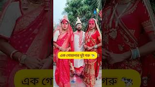 বিয়ে in Bengali Serial🤣Star Jalsha🔥BongStar Sandipshorts funny [upl. by Polish]