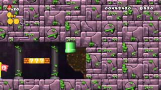 Newer Super Mario Bros Wii  1Castle  Creepcrack Castle  Star Coins [upl. by Florenza329]