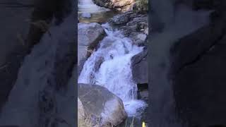 very difficult trek kareri lake karerilake trendingshorts traking maclodganj [upl. by Koziara]