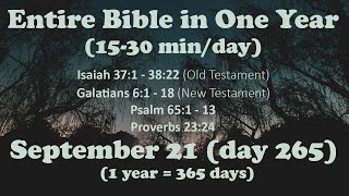 September 21  Entire Bible in One Year 15 minday audio [upl. by Einnad867]