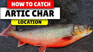 Assassins Creed Valhalla How to fish Artic Char  Best Locations [upl. by Nomaj]