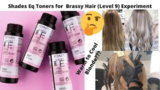 Shades Eq Toners for Brassy Hair Level 9 Experiment [upl. by Marlow]