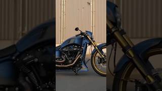 HarleyDavidson BREAKOUT 117 Custom PURPLE POWER [upl. by Norrehs632]